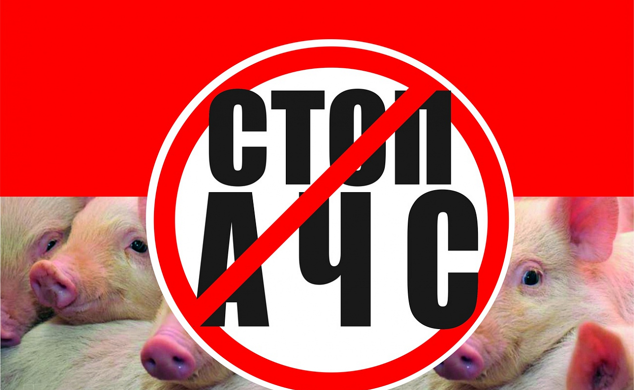 ВНИМАНИЕ! УГРОЗА АЧС!.