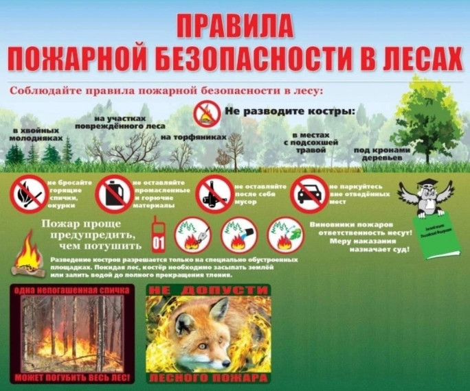 Правила пожарной безопасности в лесах. Правила пожарной безопасности в лесах.