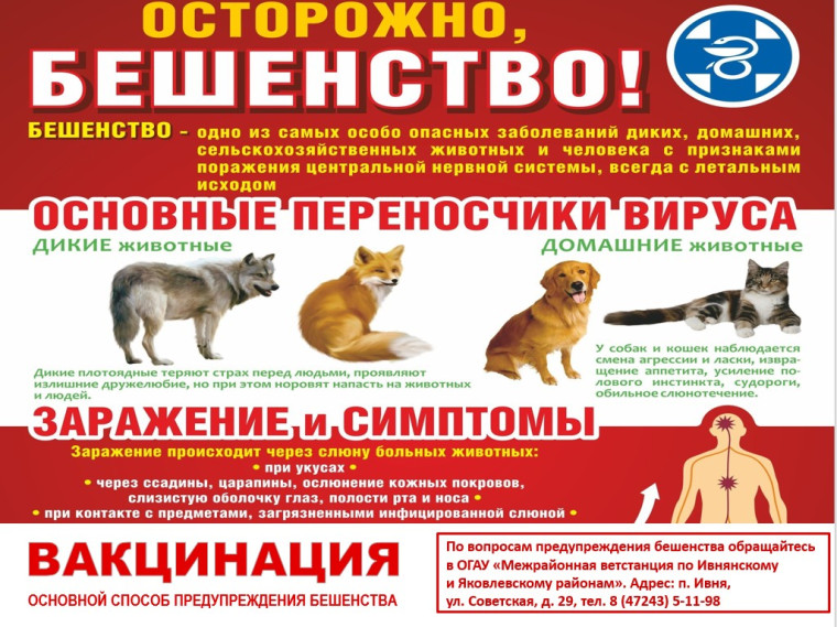 ВНИМАНИЕ! БЕШЕНСТВО НЕИЗЛЕЧИМО!. ВНИМАНИЕ! БЕШЕНСТВО НЕИЗЛЕЧИМО!.